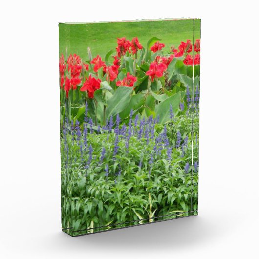 Aangepast fotoblok (Links)