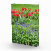 Aangepast fotoblok (Rechts)