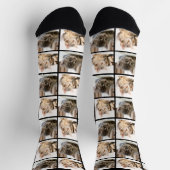 Aangepast fotocollage voor Pet Cat Sokken (Top)