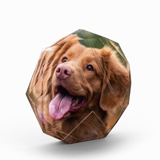 Aangepast fotopakket Memorial Dog Photo Block Fotoblokken (Links)