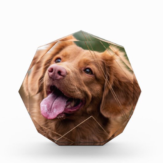 Aangepast fotopakket Memorial Dog Photo Block Fotoblokken (Voorkant)