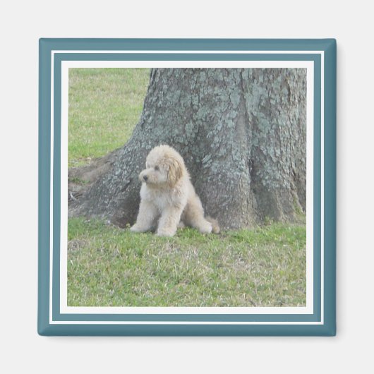 Aangepast fotosjabloon Modern Turquoise & White Magneet (Voorkant)