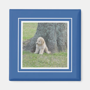 Aangepast fotosjabloon Stijlvol Royal Blue en Whit Magneet