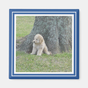 Aangepast fotosjabloon Stijlvol Royal Blue en Whit Magneet