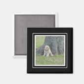 Aangepast fotosjabloon True Black & White Magneet (Voorkant / Achterkant)