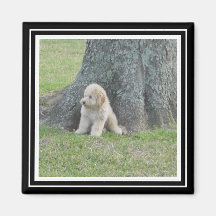 Aangepast fotosjabloon True Black & White