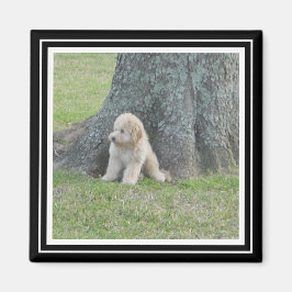 Aangepast fotosjabloon True Black & White Magneet