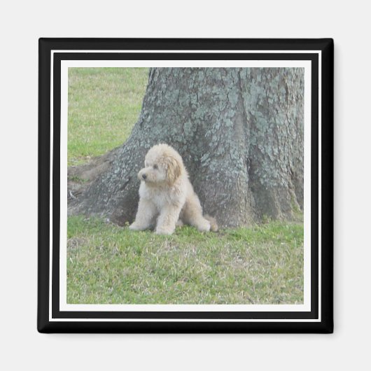 Aangepast fotosjabloon True Black & White Magneet (Voorkant)