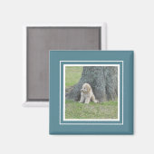 Aangepast fotosjabloon Turquoise & White Magneet (Voorkant / Achterkant)