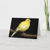 Aangepast geel kaart (Voorkant)