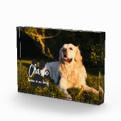 Aangepast geheugenblok fotoblokken (Rechts)