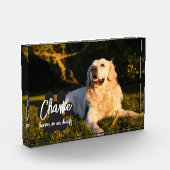 Aangepast geheugenblok fotoblokken (Links)