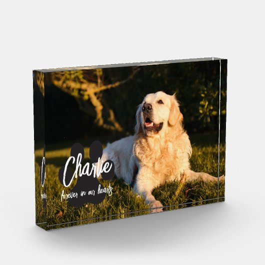 Aangepast geheugenblok fotoblokken (Links)