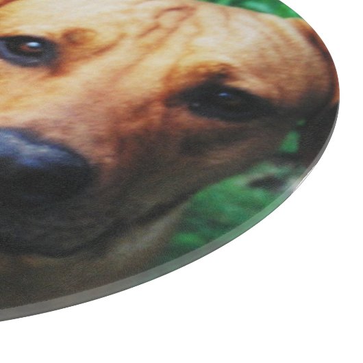 Aangepast gepersonaliseerd fotoglas snijplank (Hoek)