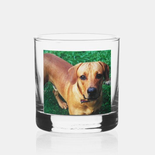 Aangepast gepersonaliseerd whiskyglas met foto whisky glas (Achterkant)