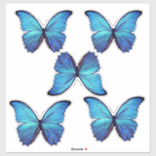 Aangepast gesneden vinylstickers - 5 Blue Morpho B Sticker