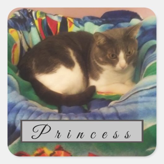 Aangepast grijs en wit kat met korte haar vierkante sticker (Voorkant)