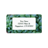 Aangepast groen luchtje Succulent Plant Adres Etiket (Voorkant)