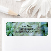 Aangepast groen luchtje Succulent Plant Adres Etiket (Insitu)