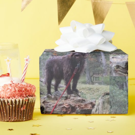 Aangepast hondeninpakpapier cadeaupapier (Verjaardagsfeest)