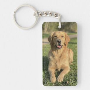 Aangepast huisdier 2 foto hond liefhebber aandenke sleutelhanger