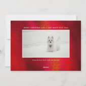 Aangepast huisdier 2 foto | Pawsome typografie vak Feestdagenkaart (Achterkant)