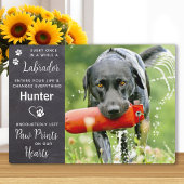 Aangepast huisdier hond Labrador Retriever herdenk Fotoplaat