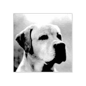 Aangepast huisdier of een andere gepersonaliseerde rubberstempel (Afrduk)