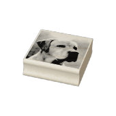 Aangepast huisdier of een andere gepersonaliseerde rubberstempel (Stempel)