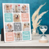 Aangepast huisdierhond memorial chic pastelkleuren fotoplaat (Zijkant)
