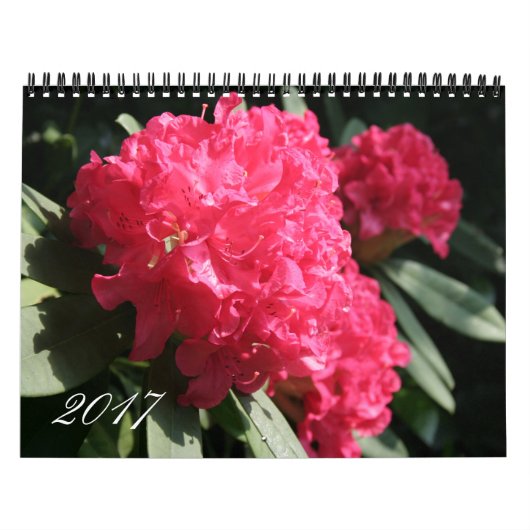Aangepast jaar 2017 kalender voor Floral Photograp (Hoes)