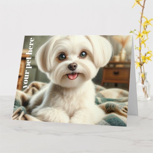 Aangepast Kaart (Gele Bloem)