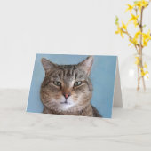 Aangepast Kat "van de kat"-dag Kaart (Gele Bloem)