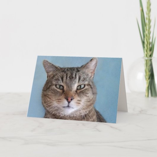 Aangepast Kat "van de kat"-dag Kaart (Voorkant)