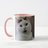 Aangepast katje Twee foto's Sjabloon Roze grijze M Mok (Links)