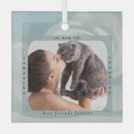 Aangepast kattenmoederleven huisdier foto aandenke glas ornament