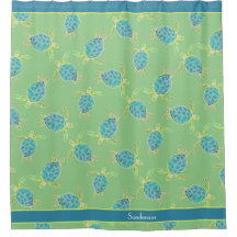 Aangepast klein Zee voor kustschildpad groen blauw