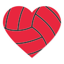 Aangepast kleurenvolleybalhart