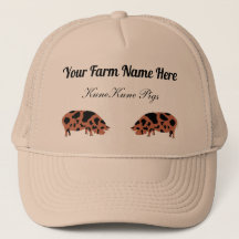 Aangepast KuneKune Pig