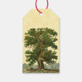 Aangepast Label voor  eikenboomkookplaat Cadeaulabel (Achterkant)