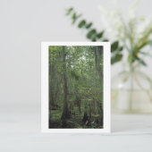 Aangepast Louisiana-fotoBriefkaart van de moerasse Briefkaart (Staand voorkant)