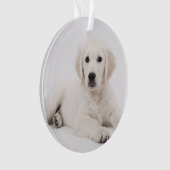 aangepast met foto's van pet-gedenkteken ornament (voorkant)