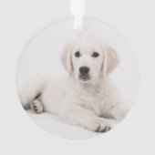 aangepast met foto's van pet-gedenkteken ornament (achterkant)