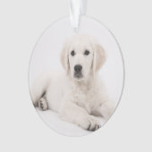 aangepast met foto's van pet-gedenkteken ornament (voorkant)