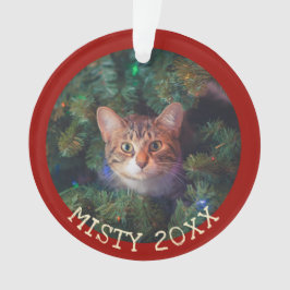 Aangepast Mijn Eerste Kerstmis Kat Aandenken Jaarl Ornament