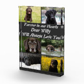 Aangepast modern Pet Memorial 6 Foto Collage (Rechts)