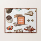 Aangepast neuskoraal met blauwgroen zeeshells Beac Legpuzzel (Horizontaal)