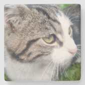 Aangepast onderzetter voor kattenfotokalksteen voo (Voorkant)