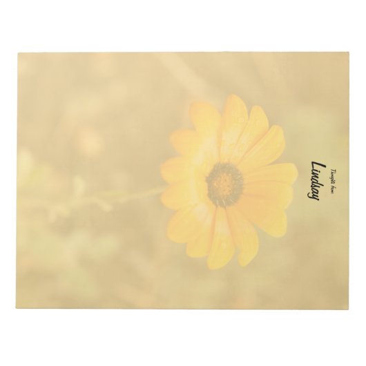 Aangepast Oranje-lente-Afrikaanse Daisy Close-up f Notitieblok (Voorkant)