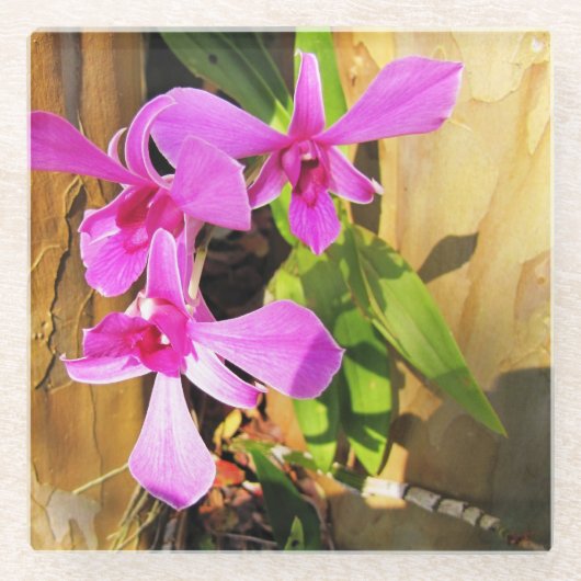 Aangepast orchidee glas Onderzetter (Voorkant)
